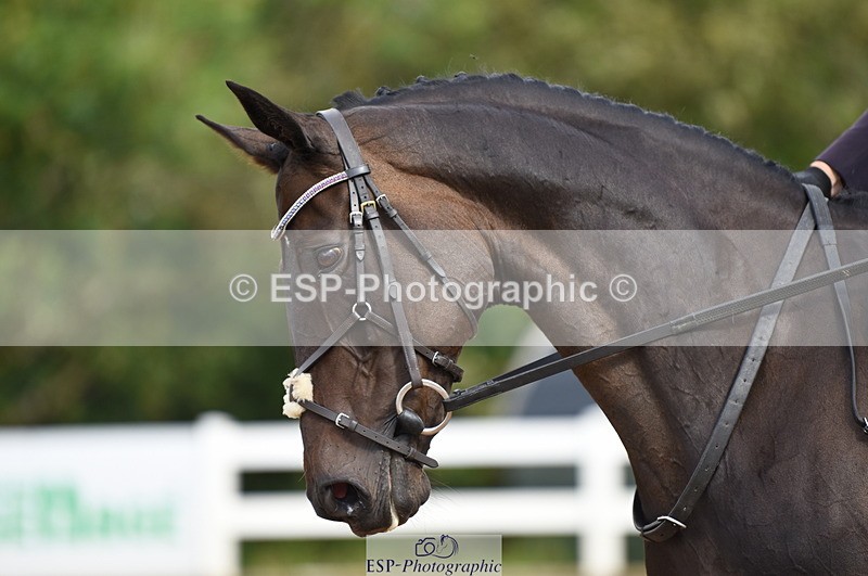 230912A-104838-00438 - Cls 5 Novice 39