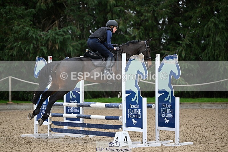 250201A-093820-00032 - Cls 01 Local Horse 90cm