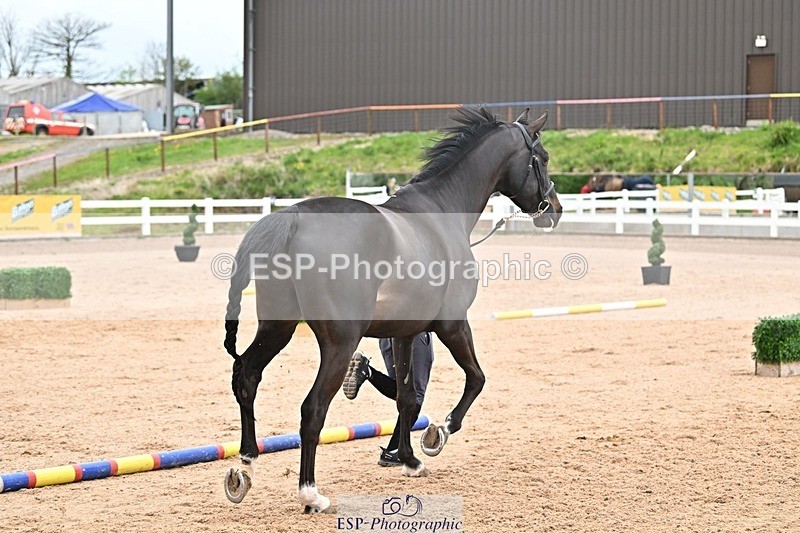 250423-160403-01927 - 4pm to 5pm