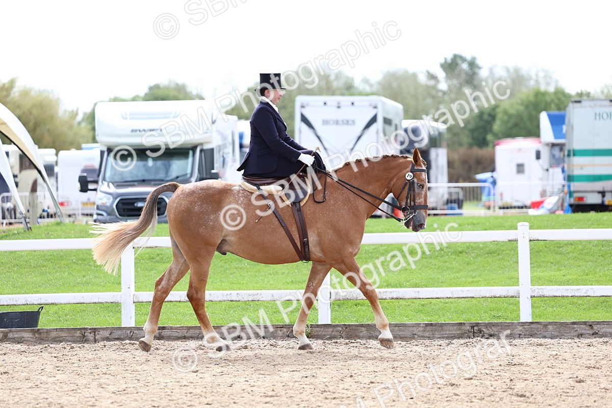 SBM_03291 - Class 23 - SSA Classical (any age)