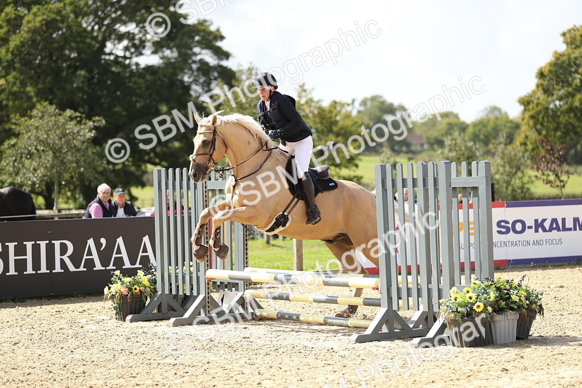 SBM_05730 - J35 - Veteran Rider 60cm