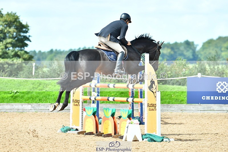 230811A-122711-04182 - Cls 20 Snr Fox