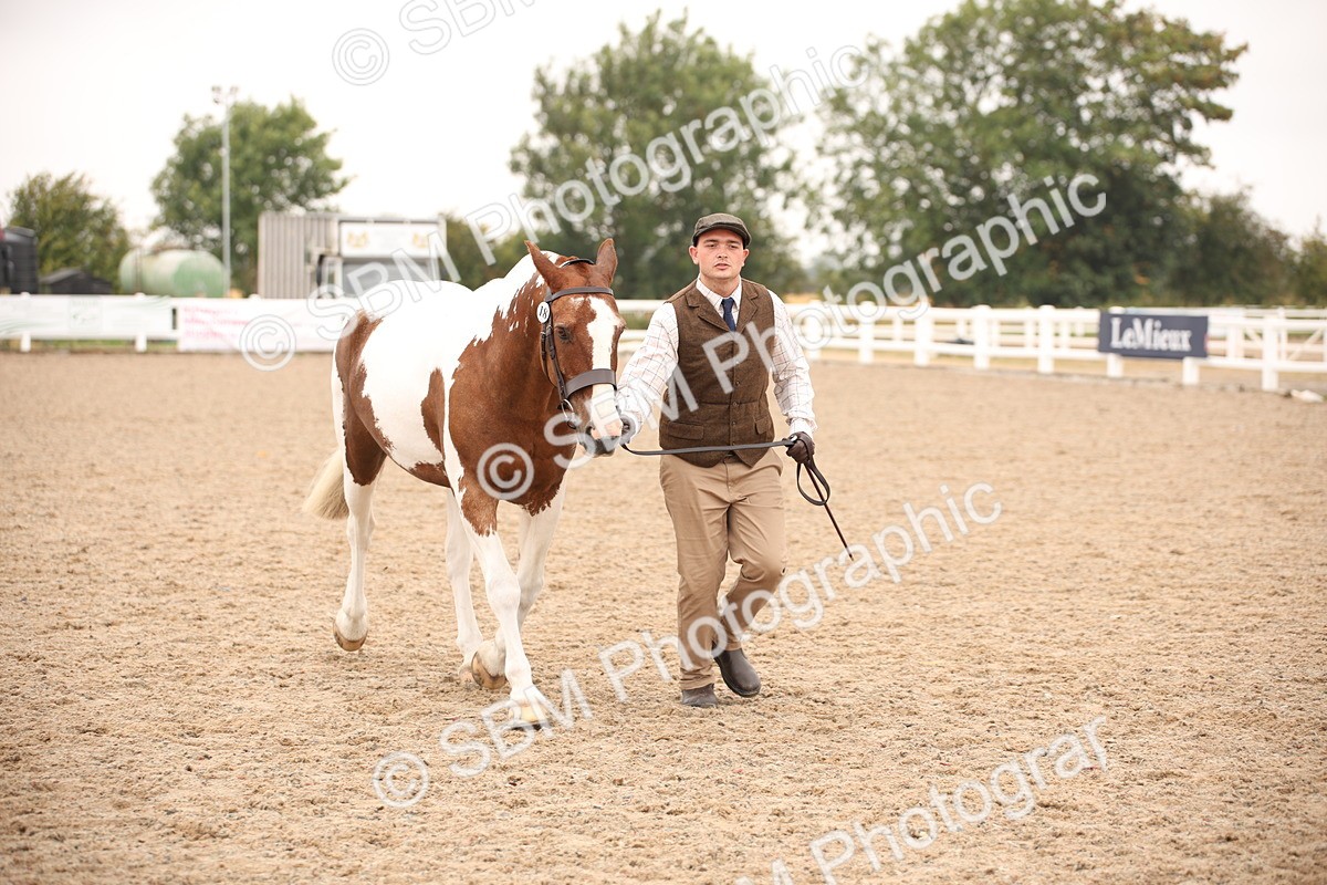 SBM_22139 - Class 707 - Ridden Groom-Helpers Class