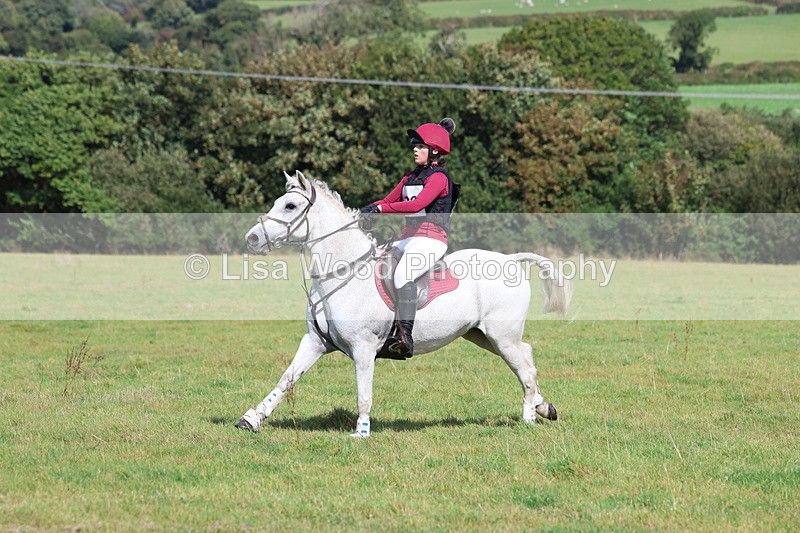 3E7A6695 - Class 1: Trebudannon Open: Pheasant Feeder