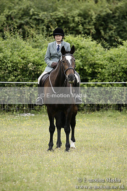 BVR160717-1363 - Ring 1 BVRC Show 16/07/17