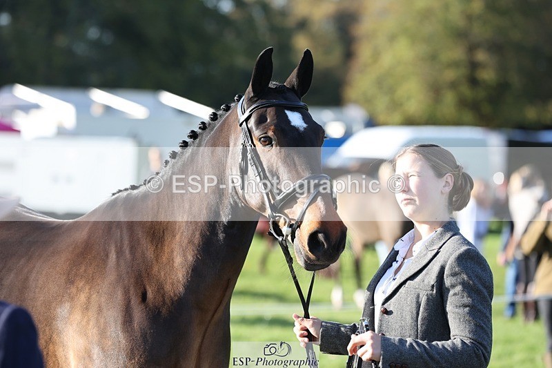 241027-093821-15408 - 441-Molly.Swain-SOCKS