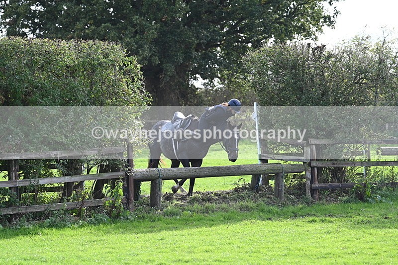 WJ7_0986 - Time 14:27 to 15:11