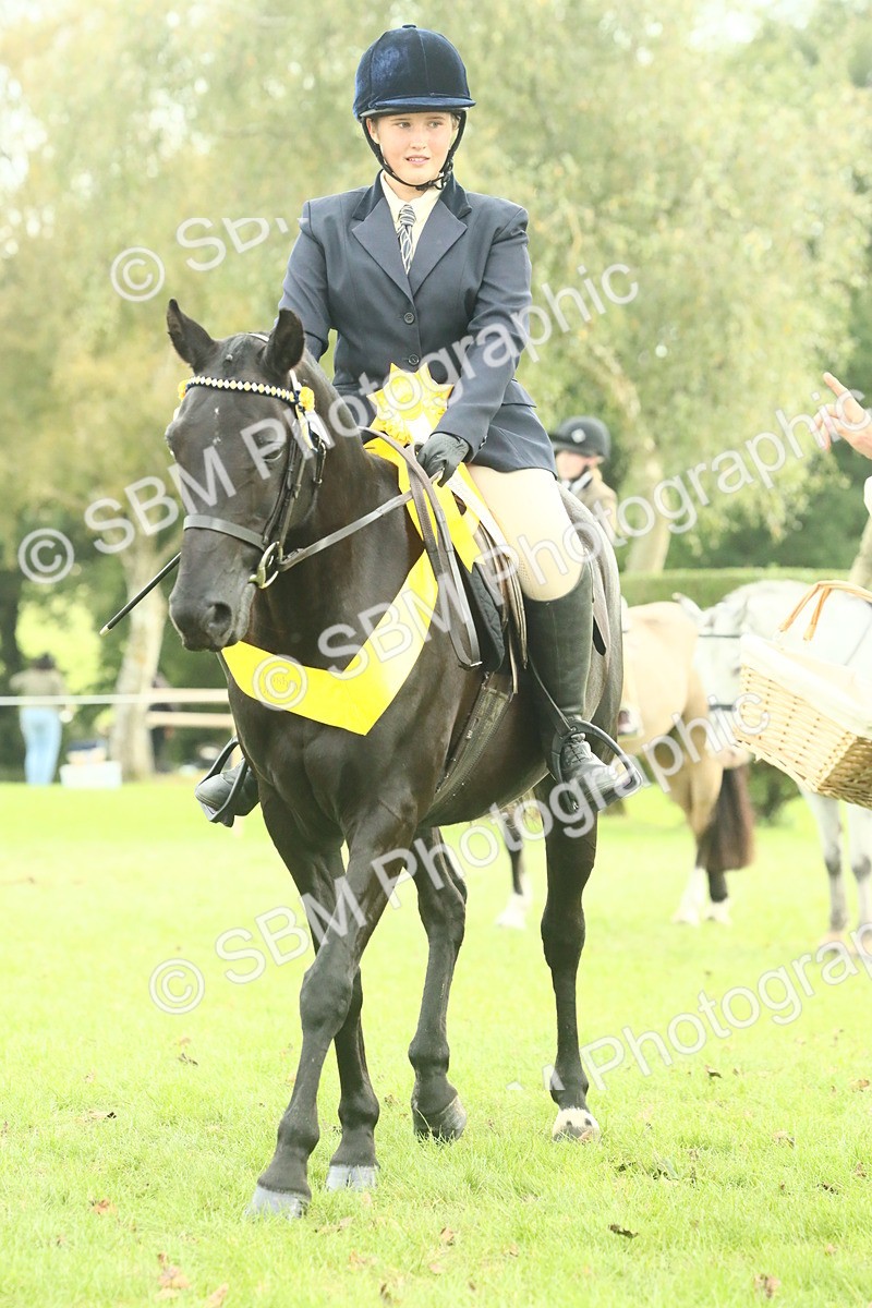 SBM_74139 - S 61 - Show Pony & Show Hunter Pony Ridden