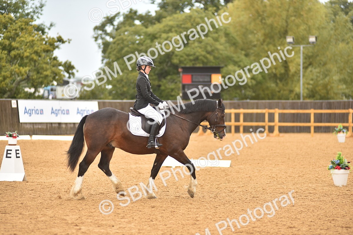 SBM_02134 - D7 - Small Tour Championship Prelim 2