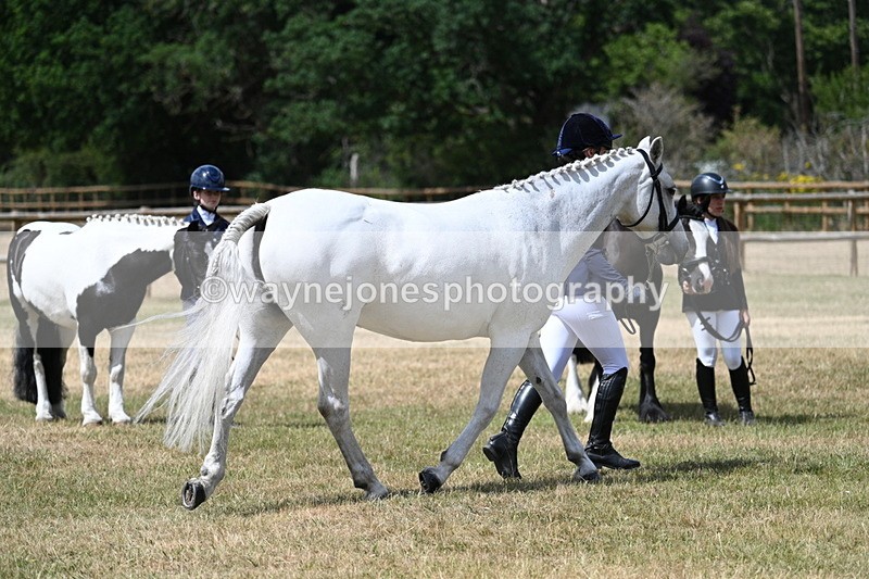 WJ7_1620 - Class 4 Prettiest Mare up to 14.2hh in hand