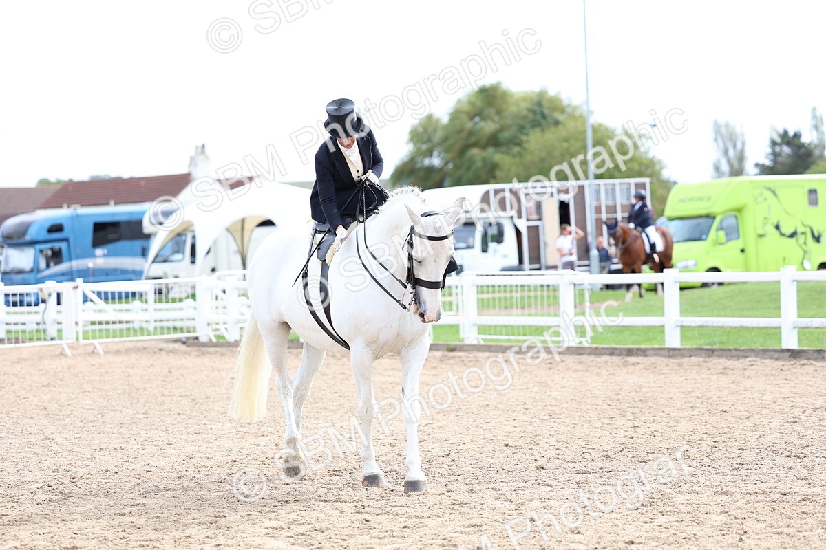 SBM_03438 - Class 24 - SSA Concours d'elegance (any age)
