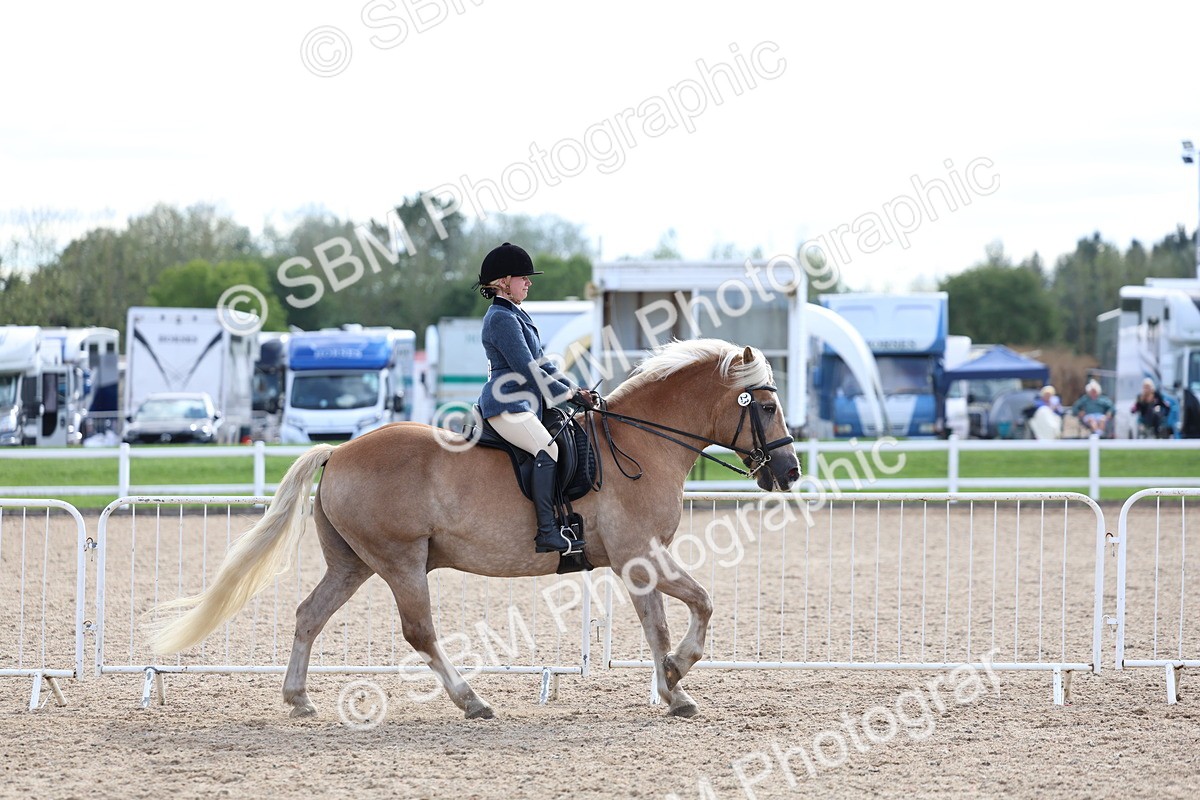 SBM_17136 - Class 315 - Best Horse - Rider Combination