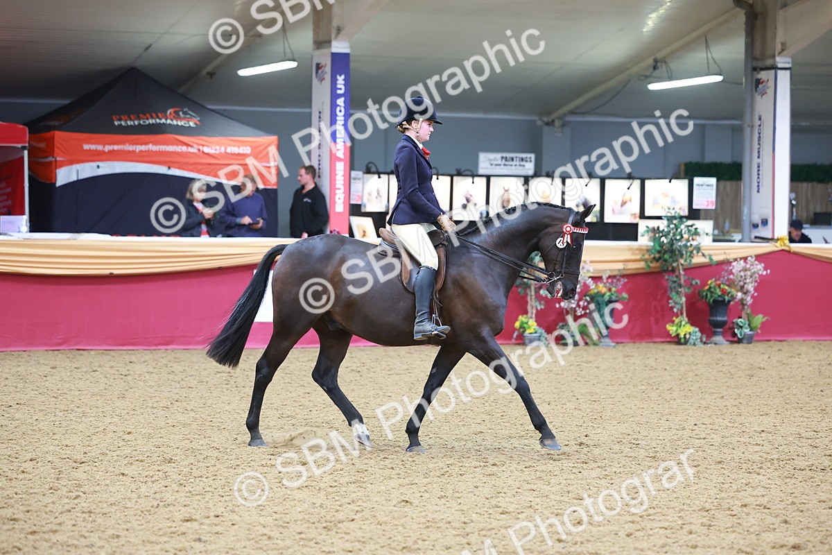 SBM_10662 - Class 103 - HOYS Veteran Qualifier - Ridden Pre Vet