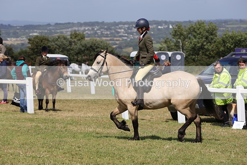 1X9A5556 - Class 38: NPS Novice Ridden Small and Large Breeds