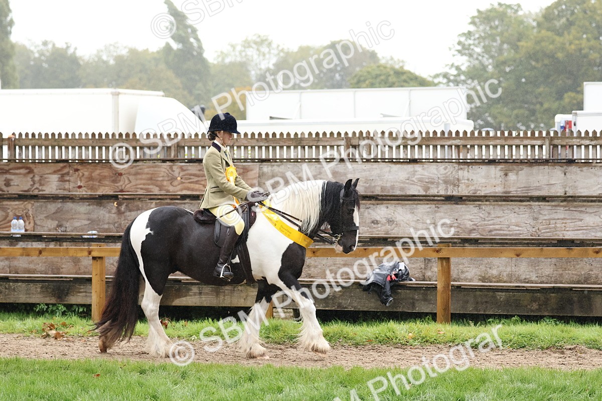 SBM_73099 - Ridden Pony Supreme Championship