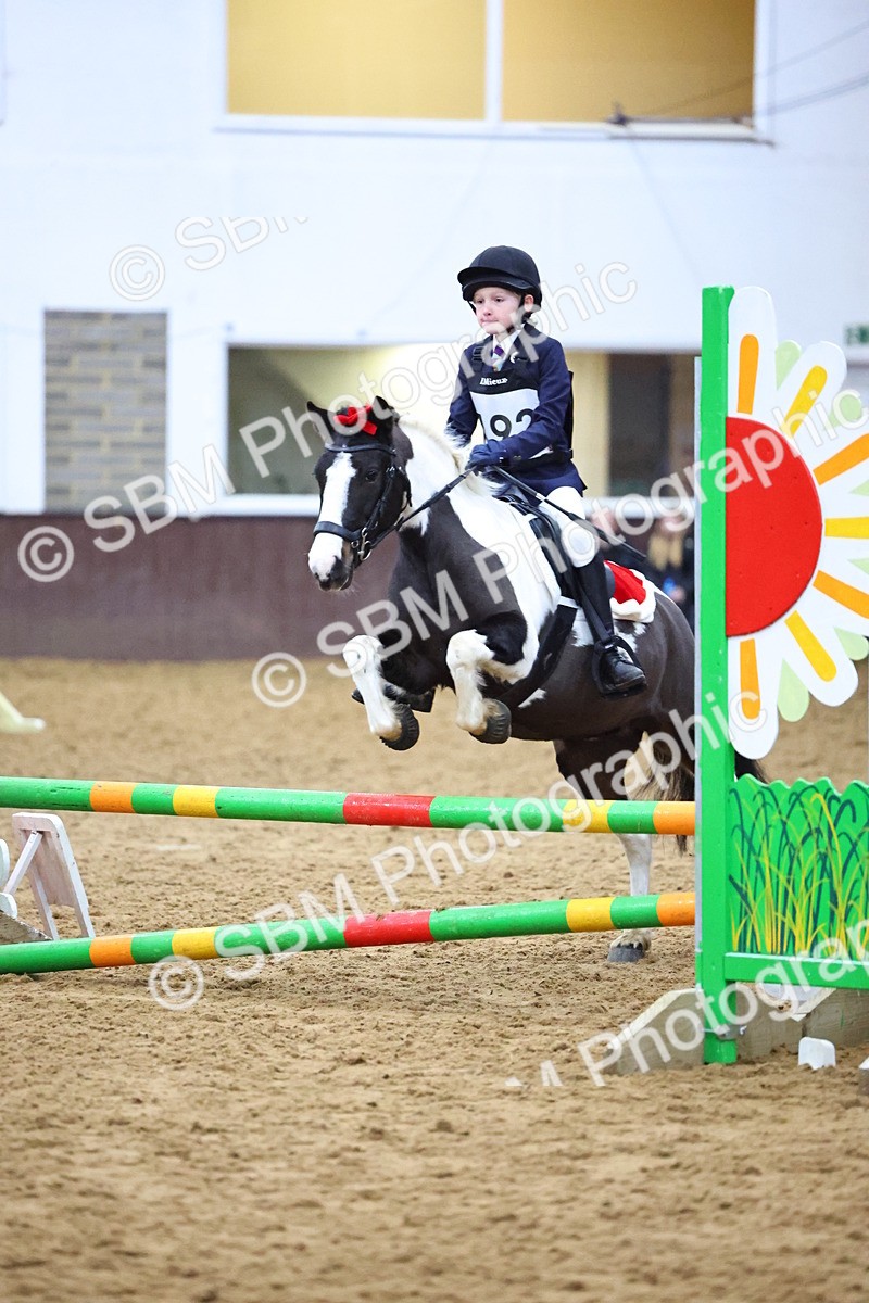 SBM_001295 - Class 3 - Christmas Tree Stakes - 60cm