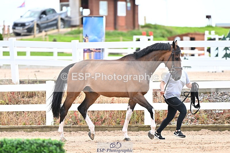 240718A-105326-02008 - Trot Up 2pm to 3pm - This folder is not in time order