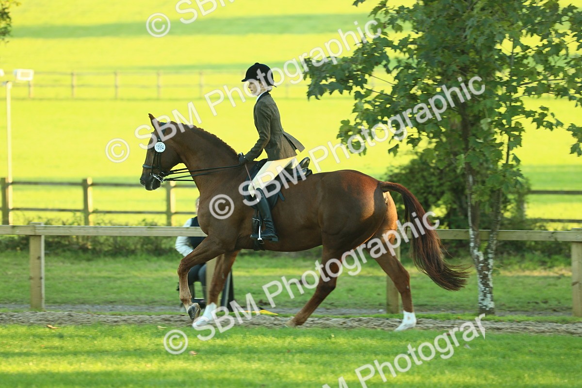 SBM_56460 - S14 - Riding Club Horse