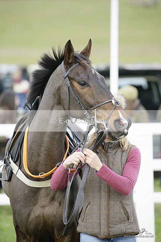 PtP 281121 0363 - Hursley Hambledon Point-to-Point Larkhill 28/11/21