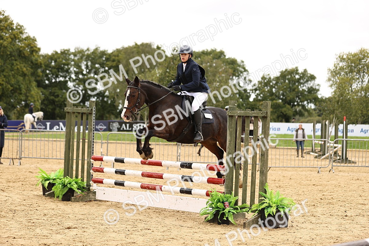 SBM_64800 - J17 - Junior Pony 80cm Championship