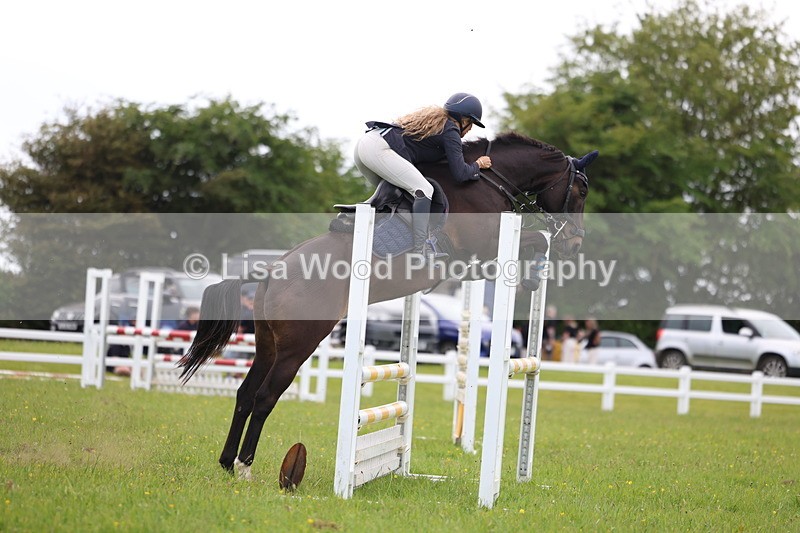 3E7A1772 - Class 13: Senior British Novice/90cm open