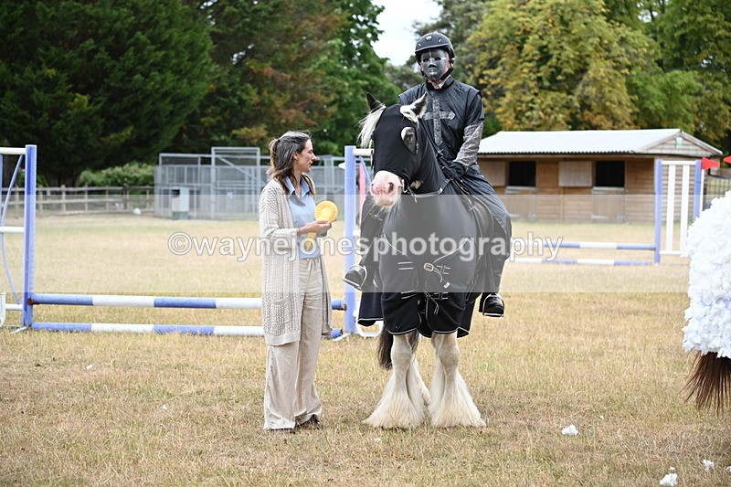 WJ6_9036 - Class 11 Fancy Dress