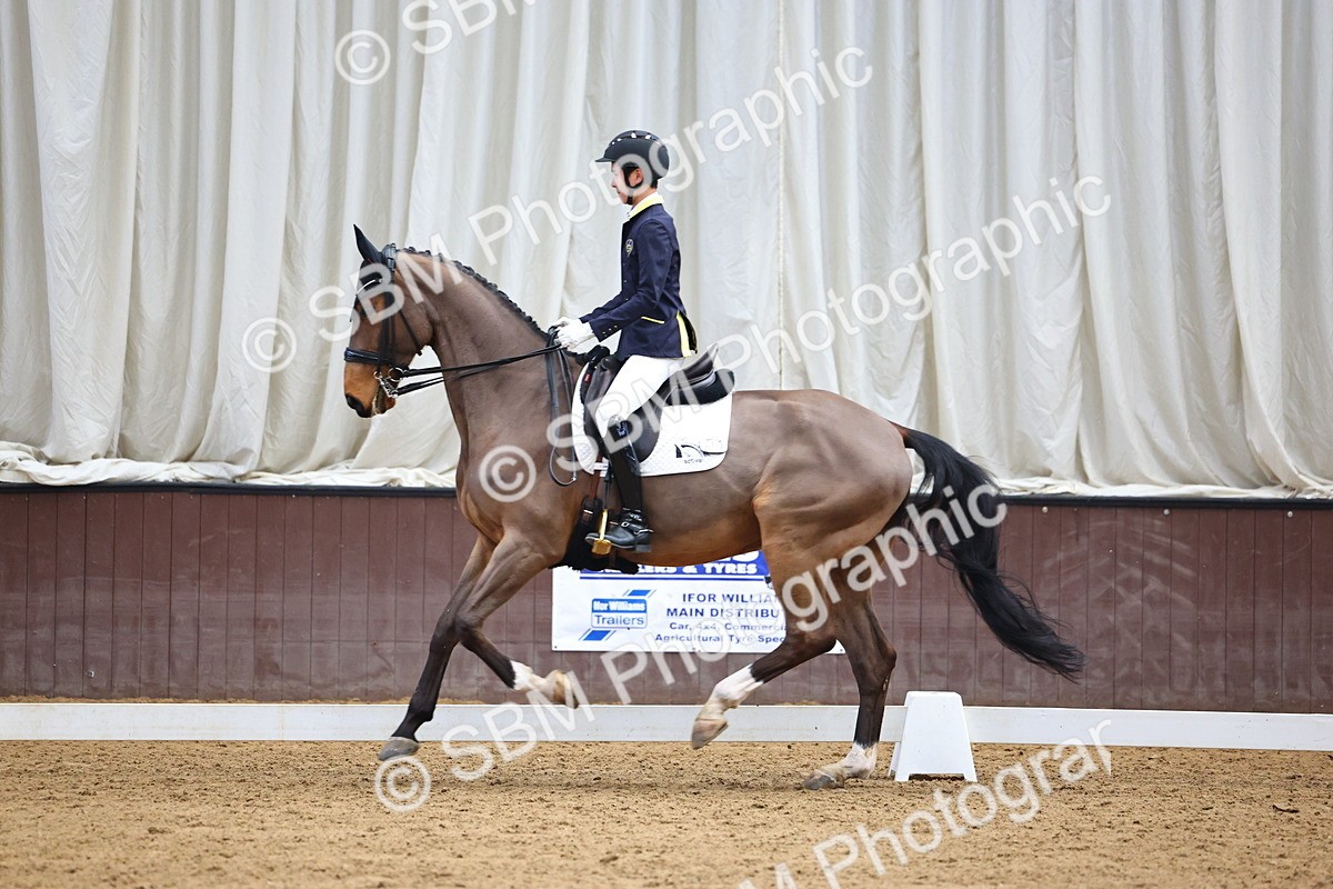 SBM_008142 - Class 21 - Medium 5