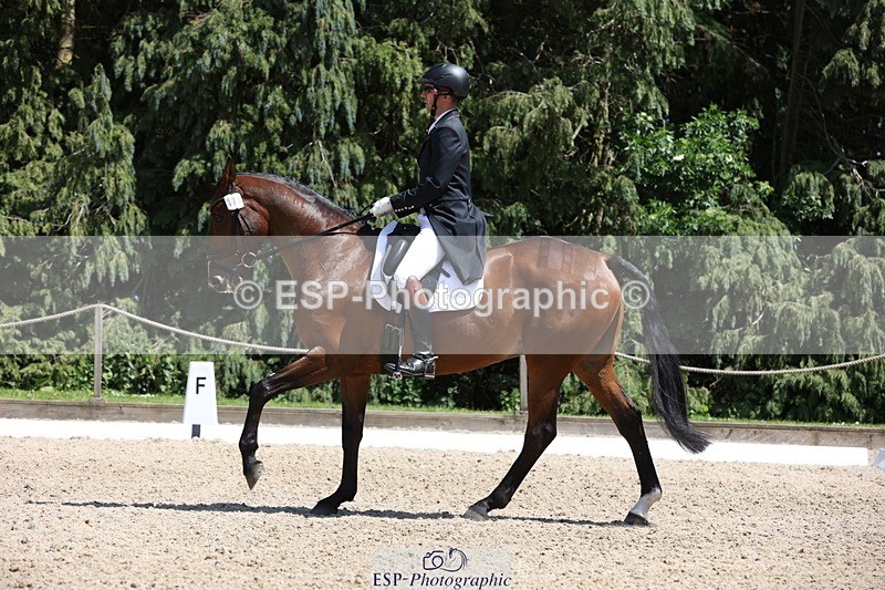 230526-140441-06447 - 371-JERPOINT_ECLIPSE-Max_Gordon-WEDTrotUp+DR