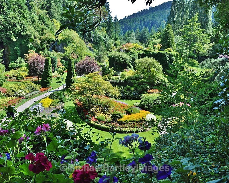 Lush Gardens - Flora and Fauna