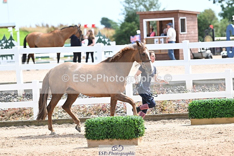 240717A-144255-02231 - Trot Up 2pm to 3pm - This folder is not in time order