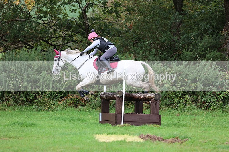 JPP_5502 - Class 6: 90cm +: Crossed Logs