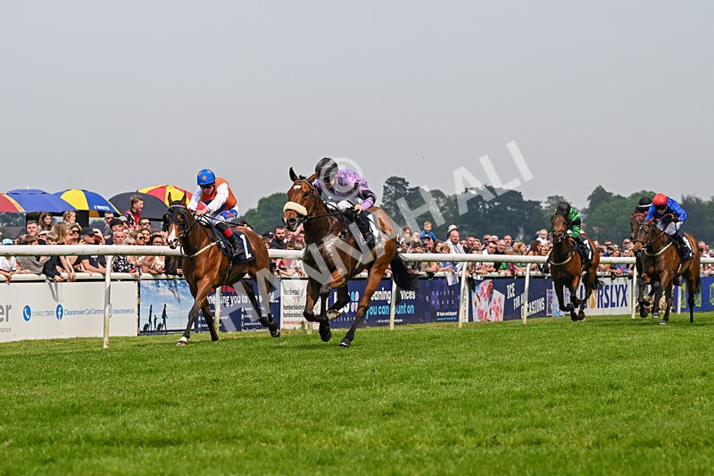 060524-Race 2-Brummell-5991 - Race 2