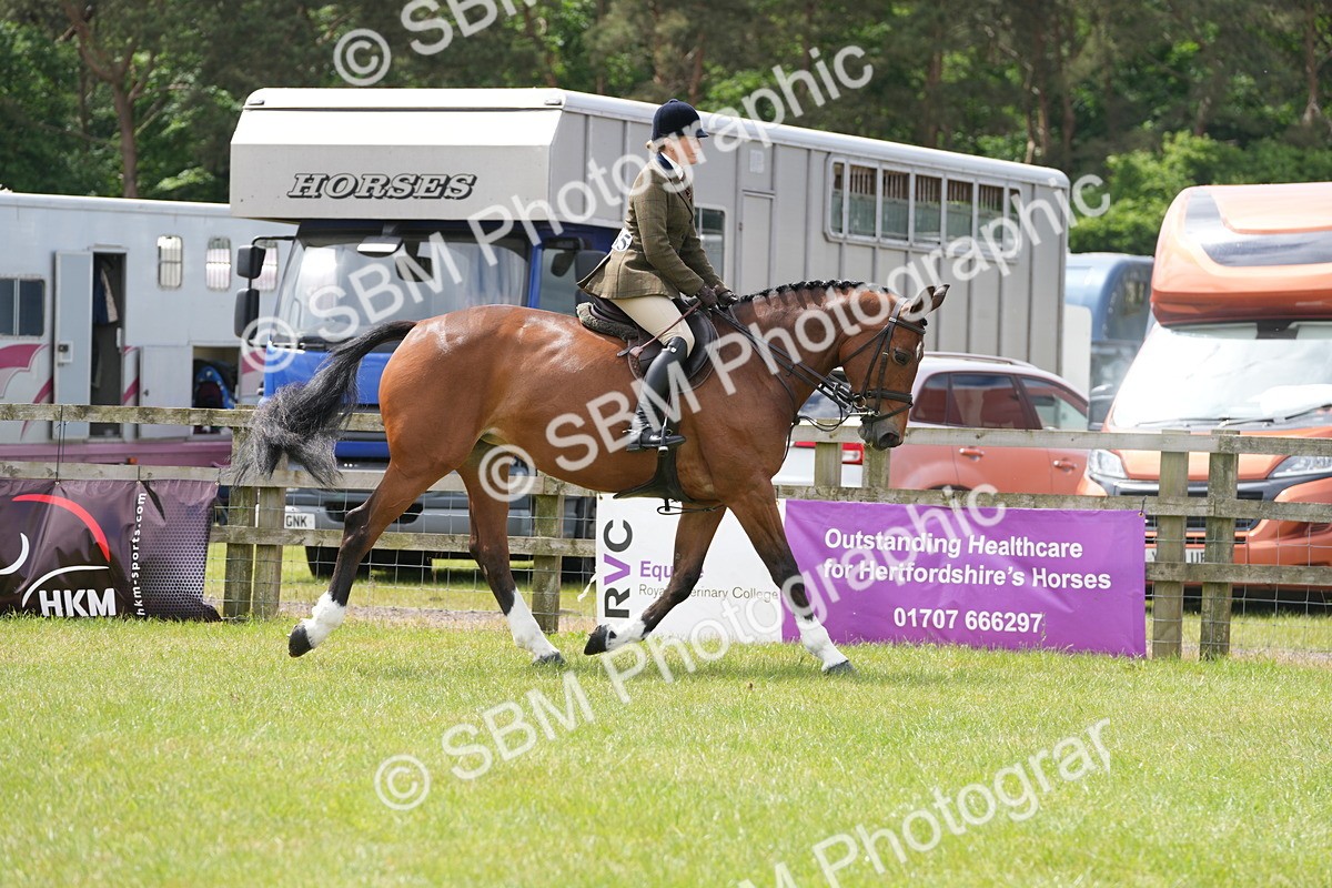 SBM_14994 - Class 100-102 - RIHS Working Hunter