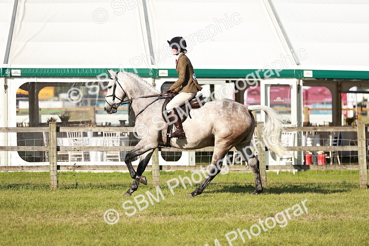 SBM_20000 - Class 115-116 - LIHS BSHA Rising Star Working Hunter & Show Horse