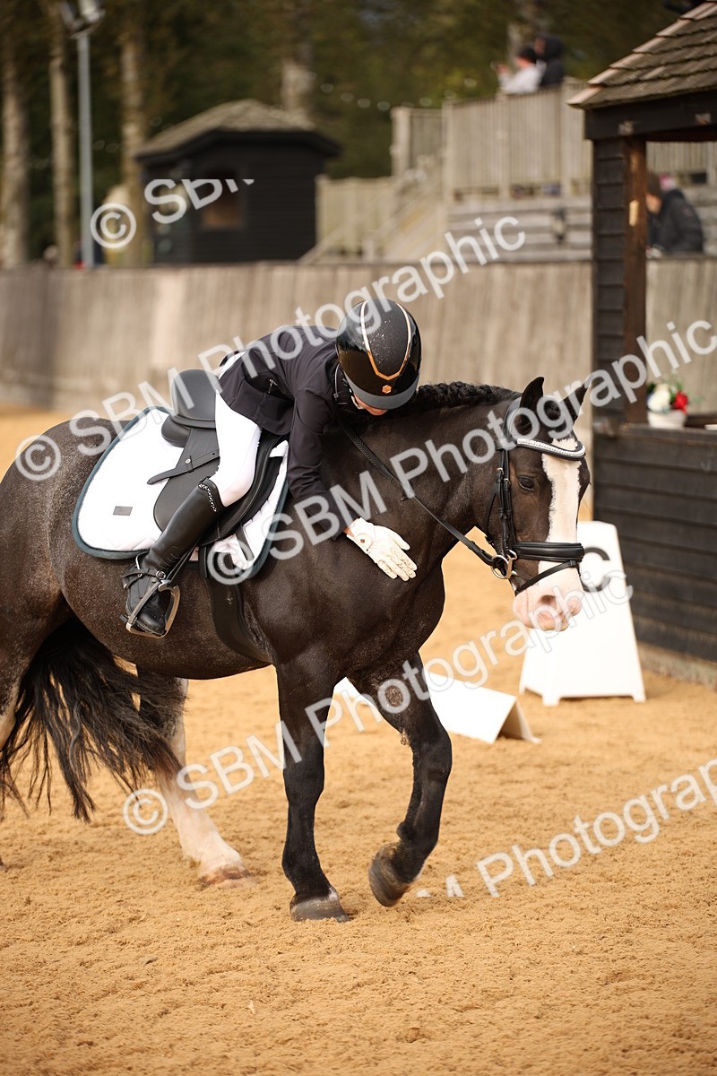 SBM_12288 - D3 Small  Tour Championship Intro A