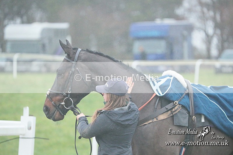 PtP 101223 187 - New Forest Hounds PtP Larkhill 10/12/23