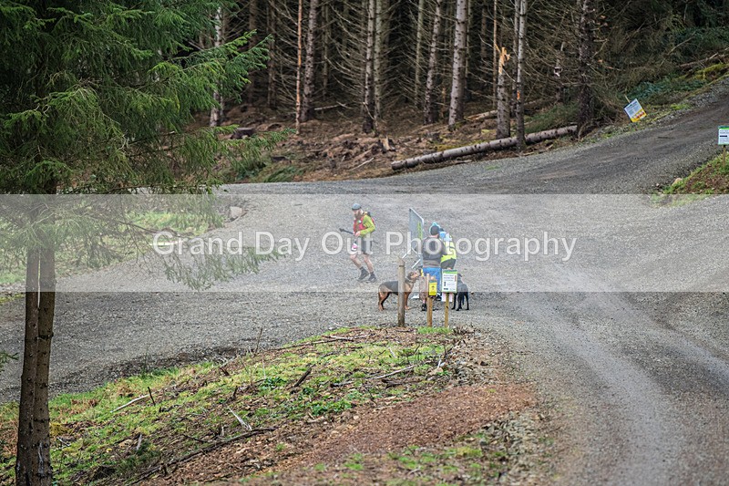Glentress-2625 - High Terrain Events Glentress Marathon 21 & 10K Trail Races Sunday 18th February 2024