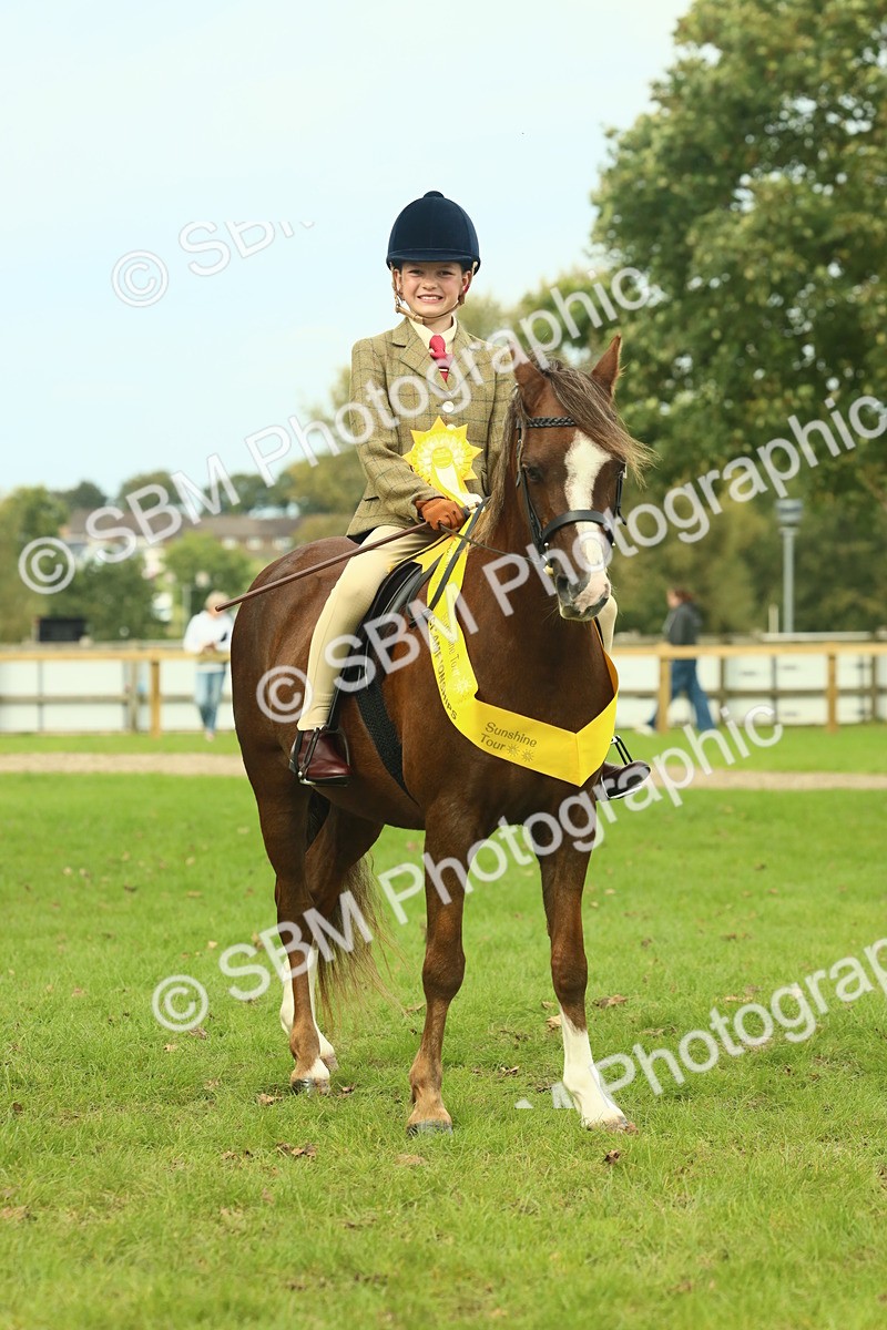 SBM_70013 - S59 - Mountain & Moorland Ridden Small Breeds
