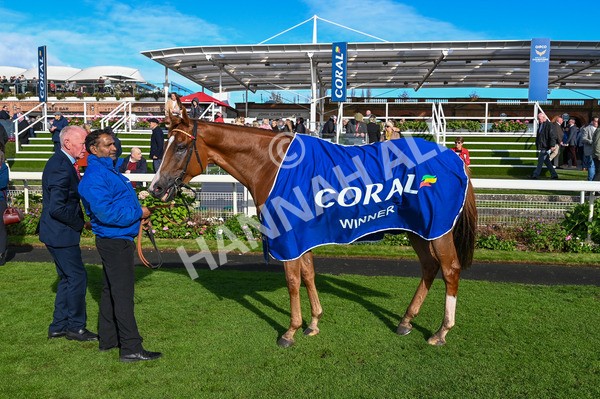 141023-Race 3-Montassib-8961 - Race 3 2.25pm Coral Sprint Trophy Handicap