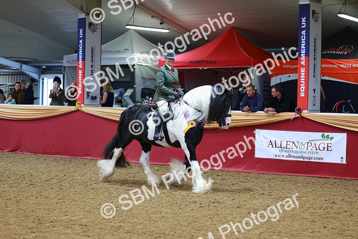 SBM_09879 - Class 102 - HOYS Veteran Qualifier - Ridden Veteran