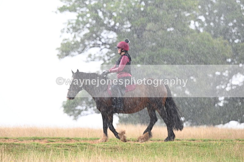 DSC_2946 - Time at Statue 12:59 to 13:49