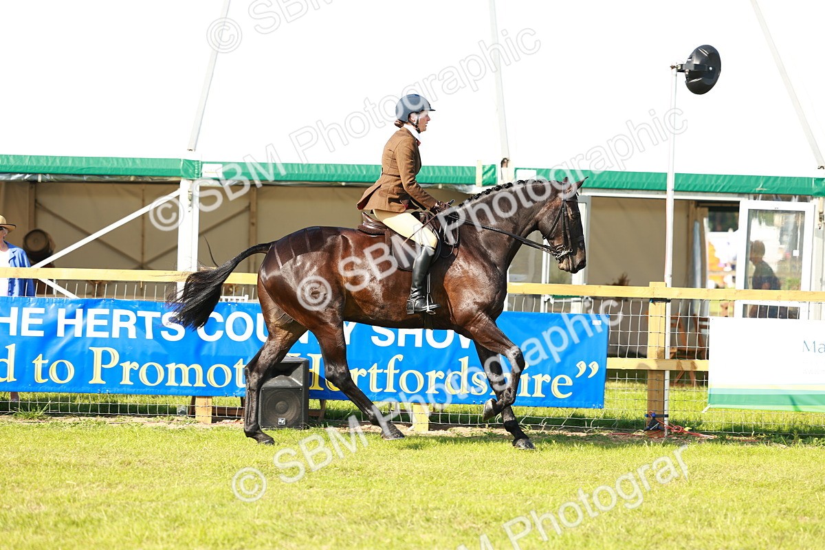 SBM_10894 - Class 66-69 - RIHS Ridden Hunters Inc Small Hunter
