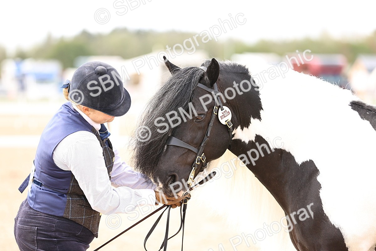 SBM_09297 - Class 404 - IH Traditional - Native Cob