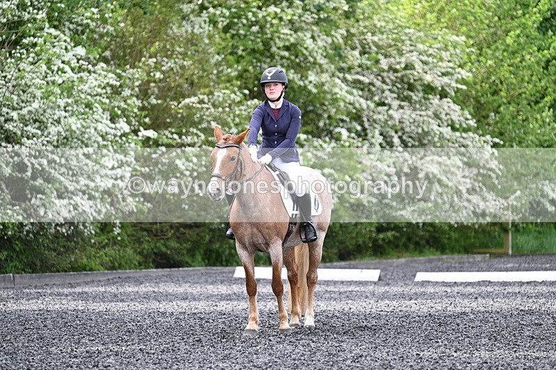 WJ7_8123 - Time 10:11 to 10:27