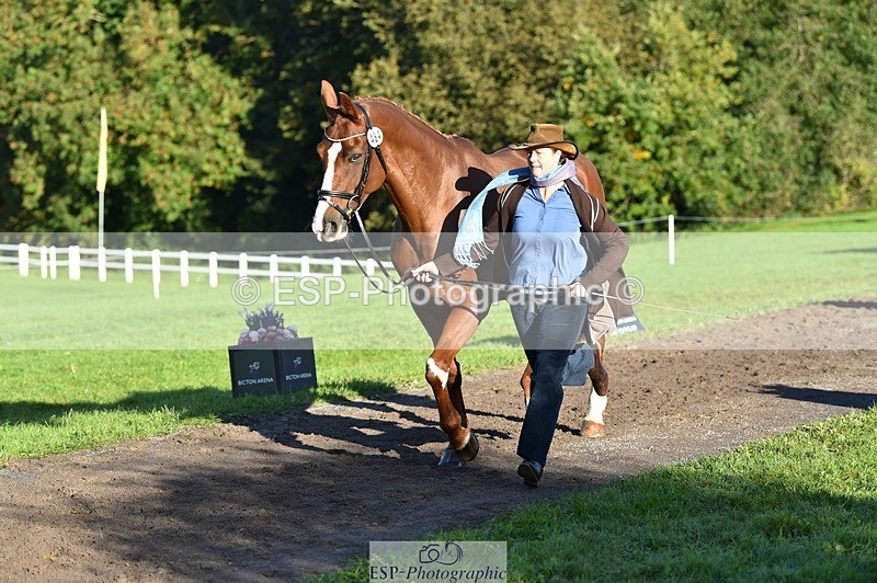 231022-095216-22084 - 484-JESATRAN.FIRECRACKER-Sally.Morton-TrotUp+SJ