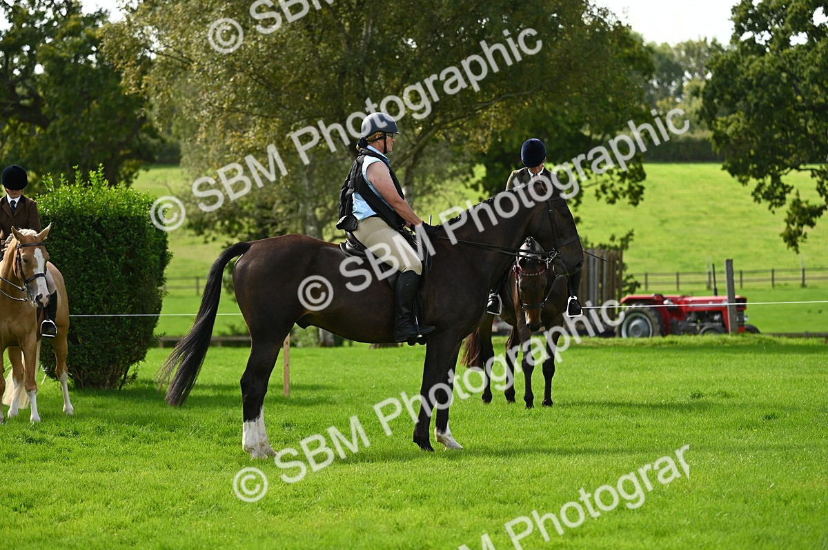 SBM_02010 - S2 - TSR Ridden Horse Showing