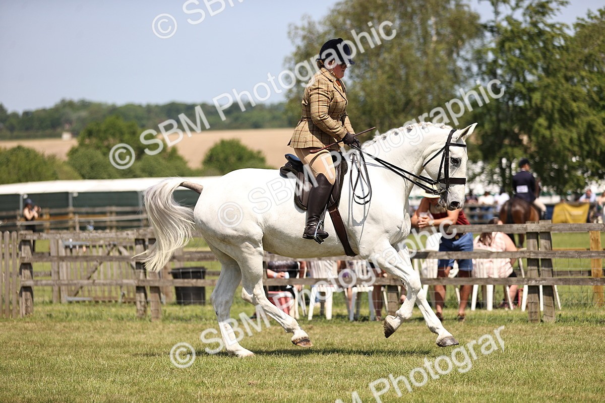 SBM_16103 - Class 79-80 - LIHS BSHA Rising Star Ridden Hunter