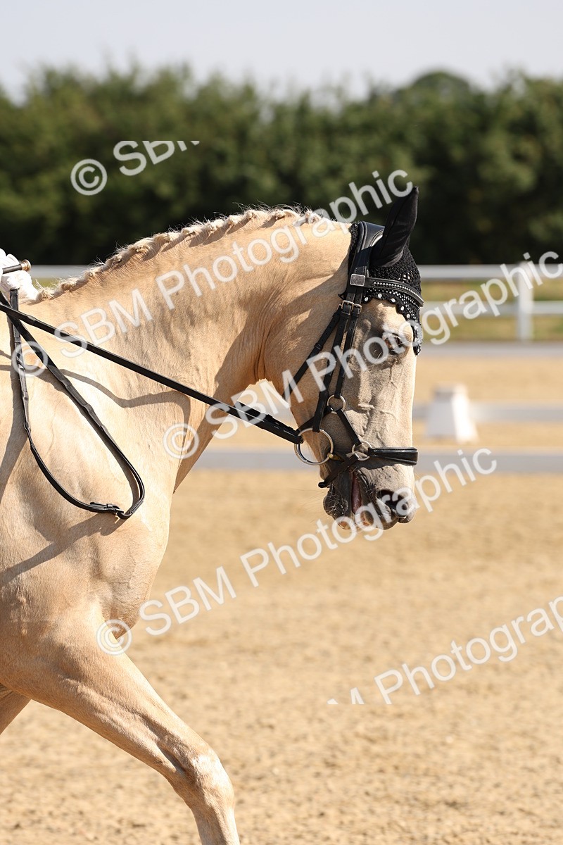SBM_003023 - Prelim 4 - Warm Up