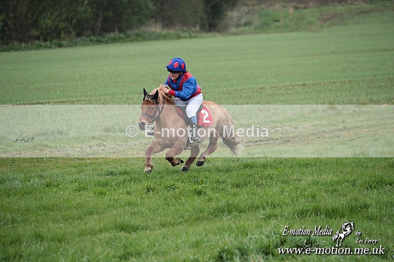 SHETPR 210425 93 - Shetland Ponies Paxford Races 21/04/25