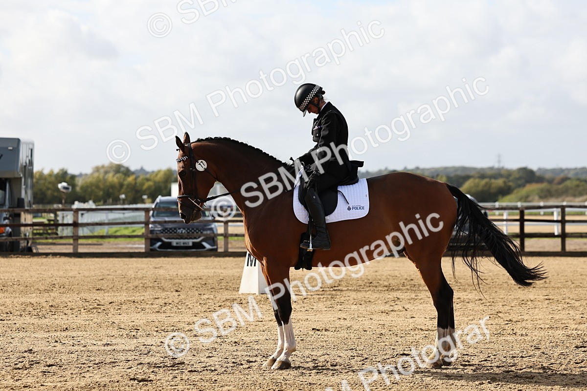 SBM_002259 - Class 50 - Novice 1